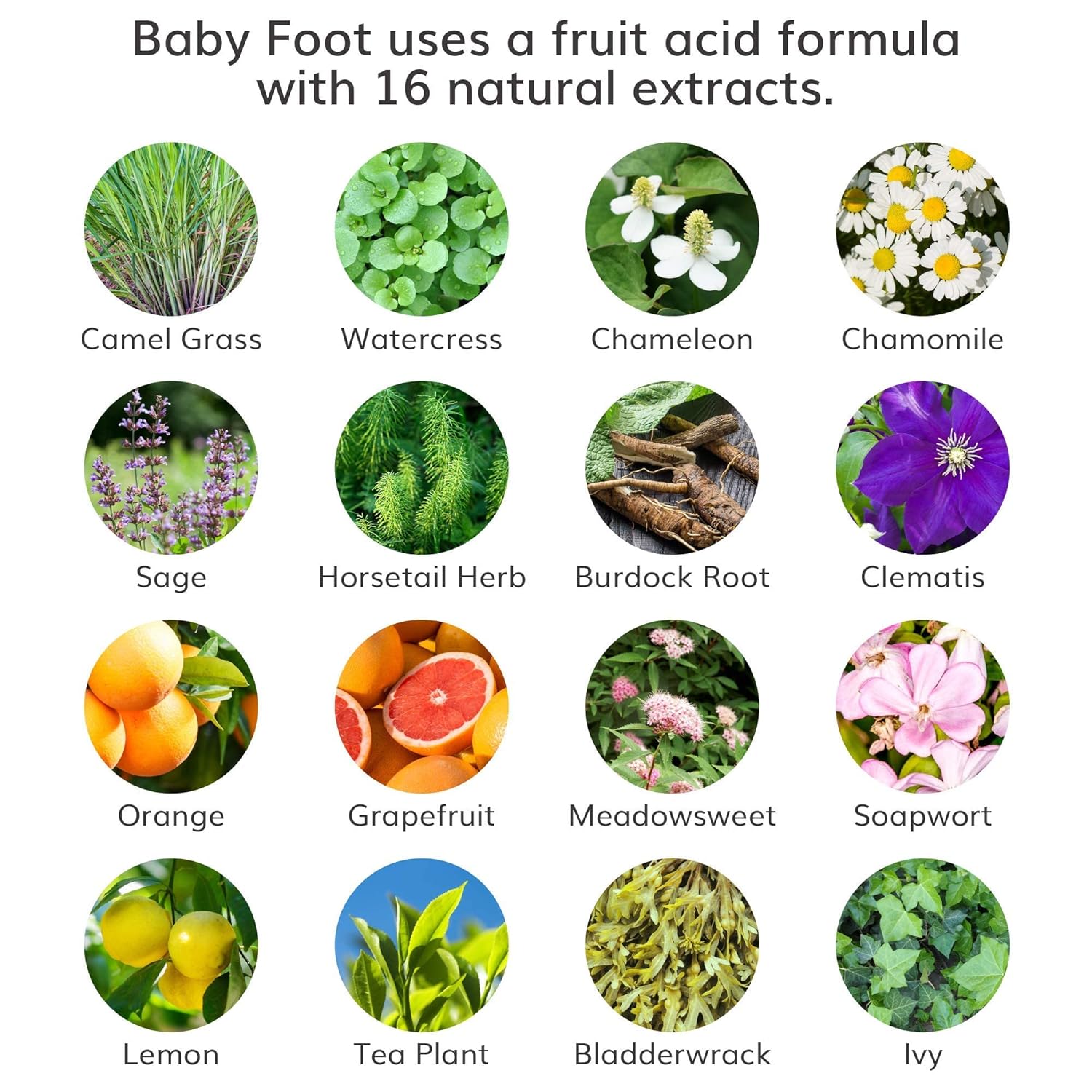 Baby Foot Original Exfoliation Foot Peel