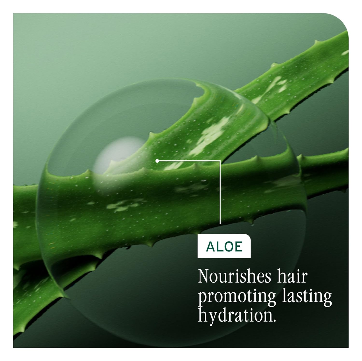 Biolage Hydra Source Deep Treatment Mask